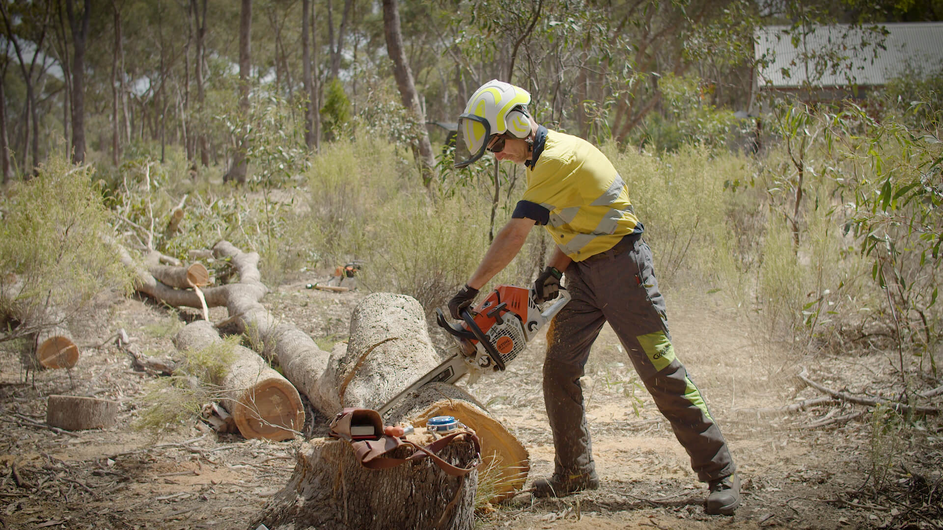 Chainsaws – Safe Cutting